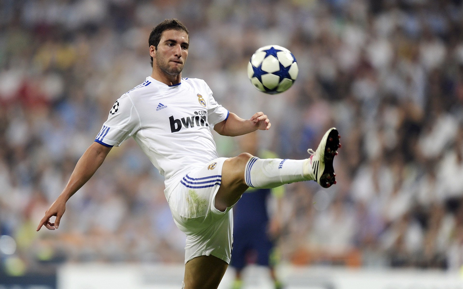 世界男子排球联赛总决赛 巴西与波兰再演巅峰对决